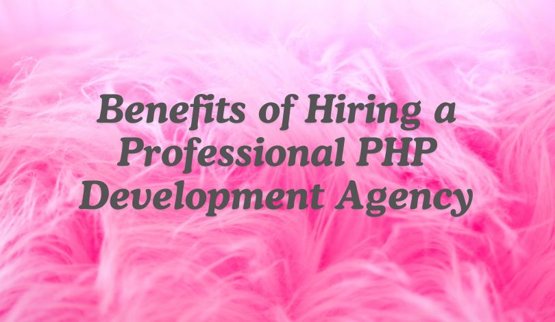 Benefits of Hiring a Professional PHP Development Agency