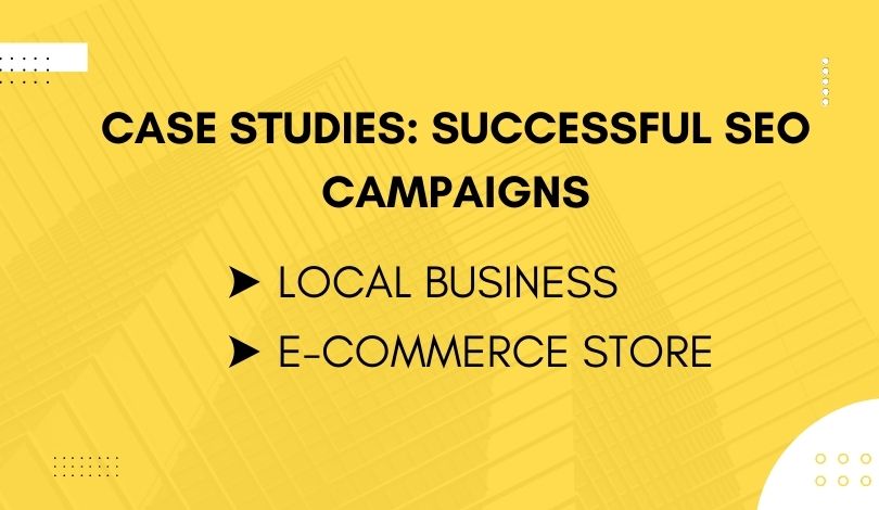 Case Studies Successful SEO Campaigns